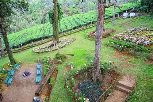 Oak Field Resort Муннар Экстерьер фото